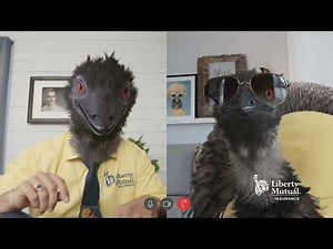 Liberty Mutual Commercial: Limu Pecks At The Computer Screen For Ten Minutes