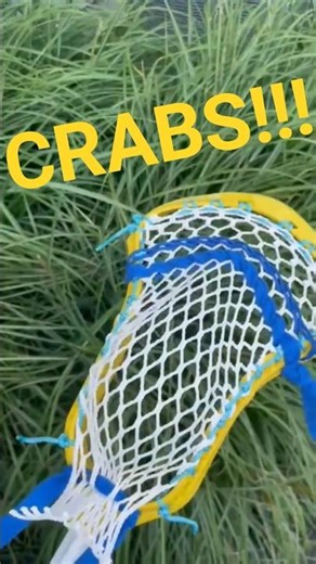 Yellow Dye Bath Crab Lacrosse Head Design #lacrosse #custom #diy