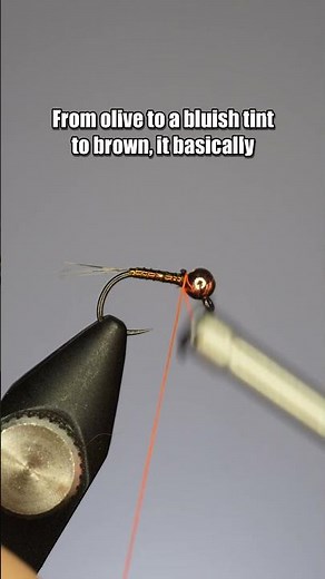 Gasolina Perdigon | Fly Tying Tutorial