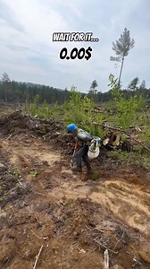 FAQ : Why is planting such high paying job? Answer : First of all, it’s an incredibly challenging and physically demanding job. It should definitely be compensated better. But, on a serious note, tree planting is a seasonal job where workers are paid based on a piece rate ($ per tree planted). However, the average planter typically only works for one or maybe two seasons. Consequently, the current industry prices are mainly geared towards helping rookie planters earn a minimum wage quickly and e