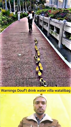 Introducing the 'VitalWear SmartBand, anext-generation wearable gadget