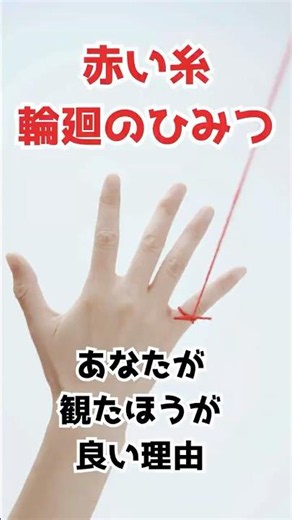 赤い糸輪廻のひみつをみたほうが良い理由を占います #タロット占い #占い #赤い糸輪廻のひみつ #月老