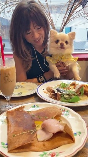 千駄ヶ谷で見つけたおしゃれなクレープ屋さん🤍「bon vent」へ行ってきました♡ #チワワ #犬同伴可能 #店内わんこok #東京カフェ