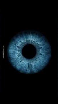 Top 10 Rarest Eye Colors In The World 😳