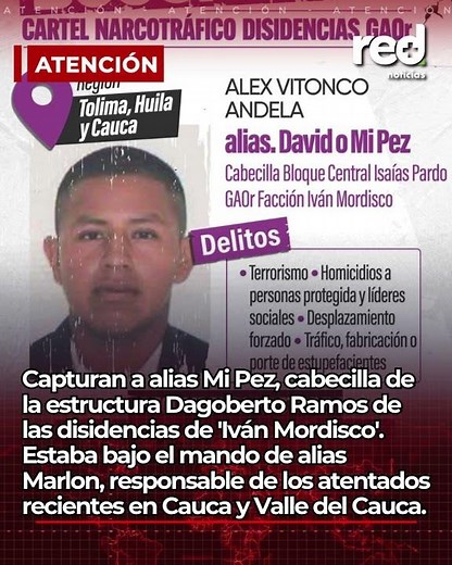 Capturan a alias Mi Pez, cabecilla del frente Dagoberto Ramos de las disidencias de 'Iván Mordisco'