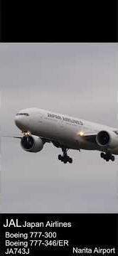 ボーイング777 ANA JAL 低空飛行 着陸/Boeing777-300 大型ワイドボディ 成田空港 Narita Airport #shorts #planespotting #b77w