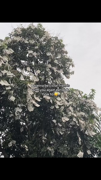 Rekindling Friendships: How to Get Close Again