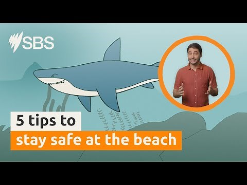 5 tips for staying safe at the beach | Australia Explained | English | SBS Audio