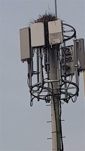 Shall we date #parkseojin