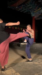 Shaolin Power Strike: Shoulder Strike Mastery 🌳💥 Watch this Shaolin monk slam into a tree with a thunderous shoulder strike, shaking leaves everywhere! Then he uses that same unstoppable force to send his partner flying. Pure Kung Fu impact and control. #ShaolinPower #KungFuForce 🥋🔥 | Wing Chun News