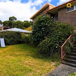 167K views · 7.2K reactions | Transforming an Out of Control JUNGLE Yard #yardmakeover #outdoormakeover #transformation #yardmaintenance | Quick Cuts | Facebook