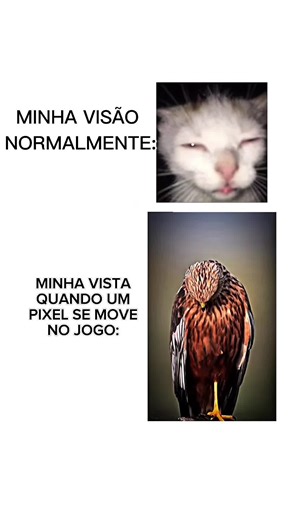 Arena Breakout Brasil: Dicas e Estratégias Imperdíveis