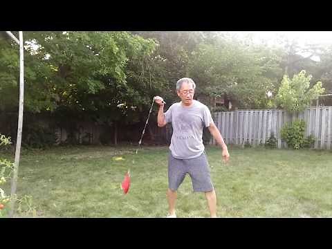 Chain Whip - 6 Techniques to catch/gather the jiujiebian 九節鞭