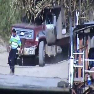 Biggest Logging Truck Heavy Equipment Working | Discover Real Life