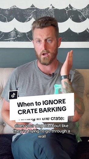Learn about calm crate routines to help your puppy settle in their crate faster in our Free Crate Training Crash Course next Tues 9/26 at 1pm PT! Register thru the link in b 🐶 We’ll also be answering more of your crate q’s there so come with what you need help with! #cratetraining #puppycratetraining #newpuppy #puppyparents #puppybarking #puppyhelp #puppytraining #thepuppyacademy