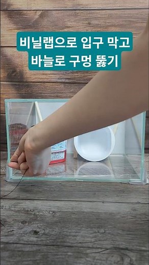 아기사마귀 초간단 사육장 #곤충사육 #사마귀일생 #1령