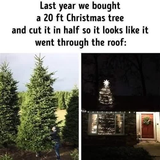 #funny #tiktok #trending #christmas #tree | Christmas Tree