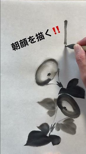 簡単な朝顔の描き方！ #painting #illustration #sumi #墨 #art #flowers