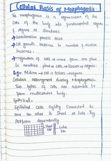 Cellular basis of morphogenesis /notes /Developmental biology /Lecture no 18