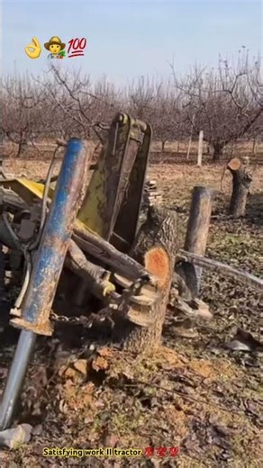 Watch till the end 😱: An old tractor pulling deeply root