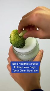 27K views · 330 reactions | Clean Your Dog's Teeth Without Brushing With These 5 Healthy Foods 凌 Add these to your dog's diet to keep their teeth clean naturally #dogdiet #dogfood #doghealth #dogteeth #dogdental | PetLab Co. | Facebook