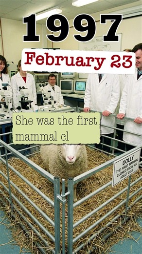 Today in History February 23, 1997 Scientists successfully cloned Dolly the sheep