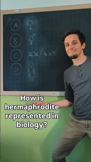 A Hermaphrodite Organism comes with both Sexes — How is it represented in biology?