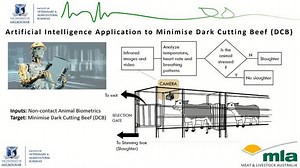 How AI and MATLAB are Helping Winegrowers Analyse Bushfire Smoke Contamination