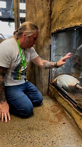 377K views · 13K reactions | The Ultimate Emotional Support Animal Brillo The Armadillo Brian Barczyk The Reptarium | Ed The Pond Professor | Facebook