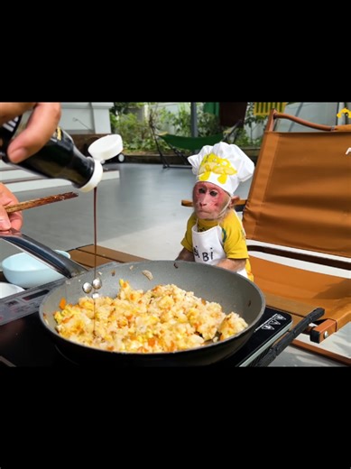 Monkey Chef and Man Cooking Eggs Outdoors