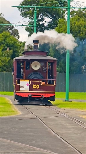 Steam Engine on the move #locomotive #newzealand