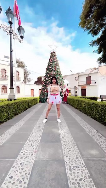 Tetris Dance Remix: Te-te-te-tetoris