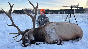 Bear, elk hunting license window set to open May 1 in Michigan. What hunters should know