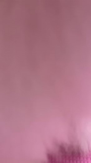 Luna in for her first full groom 💜 She was a natural 😍 #bichón #maltese #maltichon #firstgroom #doggrooming #doggroomerlife #doggroomer | The Dog House