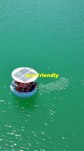 How These Autonomous Robots Are Saving Our Oceans