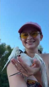 Rescuing a Gull Chick Stuck in a Fishing Net || ViralHog