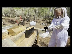 Bee Hive Move and Adding a Sugar Water Feeder