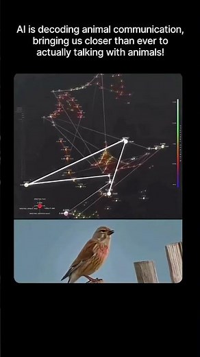 AI Is Decoding Animal Communication: Can We Talk to Animals?