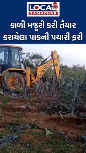Local Samachar on Instagram: "હિટલરશાહી! 😡 જાણ કર્યા વગર ખેતરો ઉજ્જડ કર્યા, વિરોધ કર્યો તો આપી જેલની ધમકી! 🚜⚠️ Local Samachar CMO Gujarat . . . . . . . #Gujarat #Khedut #Farmer #Live #Viral #Himatnagar #BreakingNews #Samachar #Sabarkantha #Police #Justice #Trending #Video #FarmersOfIndia #Agriculture #GujaratGovernment #Help #Public #News #Today #JusticeForFarmers #KhedutSathidar #Aakrosh #Janta #NewVideo"