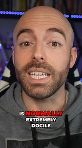 SCP-096: The Shy Guy's Terrifying Secrets Revealed | Matthew Santoro