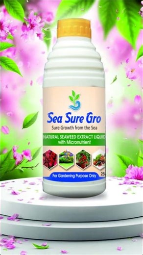 🌱 Seaweed Extract Fertilizer | Boost Plant Growth Instantly | Organic Gardening Tips