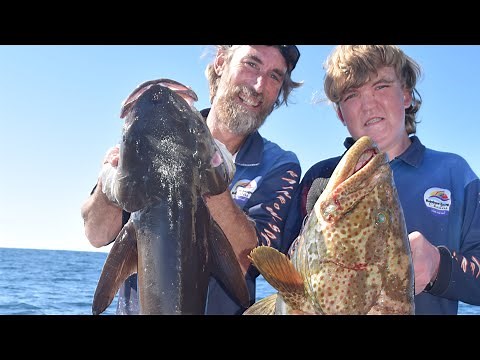 Rainbow Beach Fishing Classic 2022 day 4. Battling monsters Rainbow Escape Charters!
