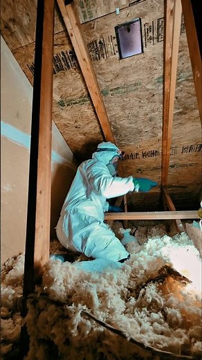 Professional-Grade Mold Removal in Action | MoldForge™ Pro