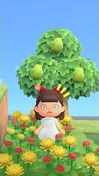 55. Come villager hunting with me! 🧚🏼‍♀️ #animalcrossing