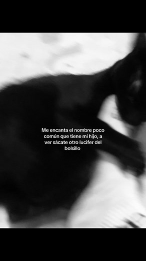 Nombres Originales para Gatos Negros: ¡Descubre el Ideal!