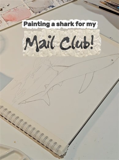 Here's how I painted the Blue Shark for my educational animal themed mail club 💌 A portion of proceeds from each membership will go towards charity 💙 If you'd like a print of this artwork you can join with the 🔗 in my bio 🫶 #snailmailclub #happymail #mailclub #printclub #snailmail
