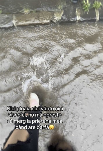 #fyyyyyyyyyyyyyyyy #brasov #elbruso #viral TikTok