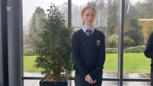 Rockbrook Park School on Instagram: "Rockbrook Eco Club project (2nd year) @rockbrookgreenschool @youngenvironmentalistawards #yea #youngenvironmentalists #youngenvironmentalistawards"