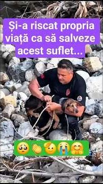 Asta înseamnă omenie și curaj! | That means humanity and courage!