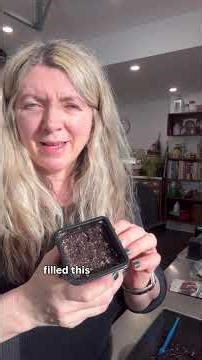 Potting up one of May multisown seedings #seedstarting #vegetablegarden #gardeningtips